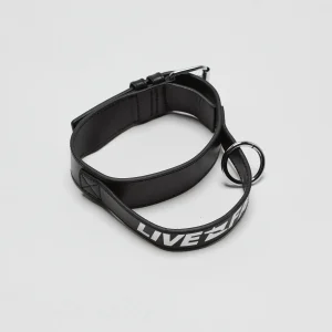 LFDY Dog Collar