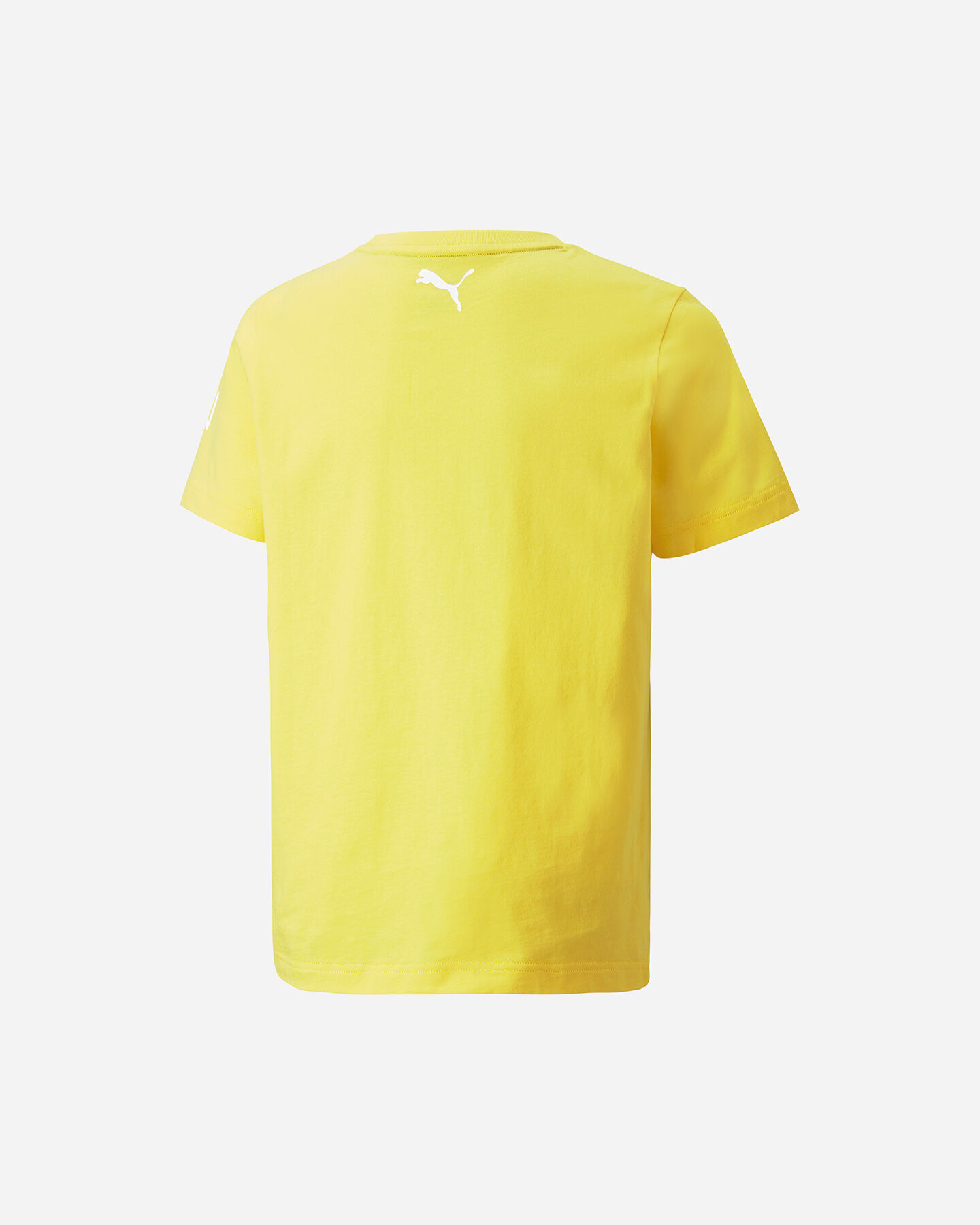 T shirt GRAPHIC JR – Image 3