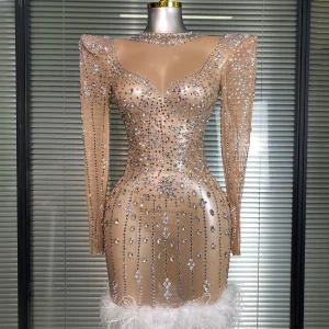 AVP PASSION: Crystal & Feather Long Sleeve Sheer Mini Dress